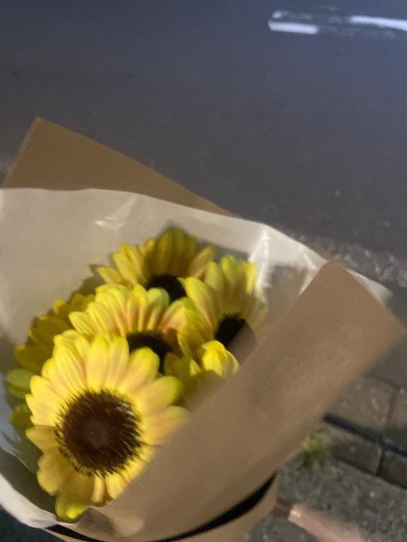 27日お礼です💌💙｜写メ日記｜なつき【純白のギャップ】｜池袋 一般デリヘル STELLA TOKYO−ステラトウキョウ−