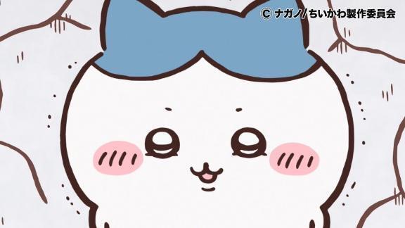 次回の出勤予定｜写メ日記｜もか【ロリカワ現役大学生】｜池袋 一般デリヘル STELLA TOKYO−ステラトウキョウ−