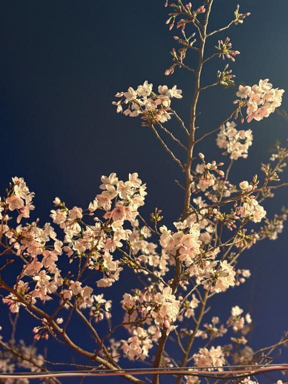 聞いてみたかったこと👂