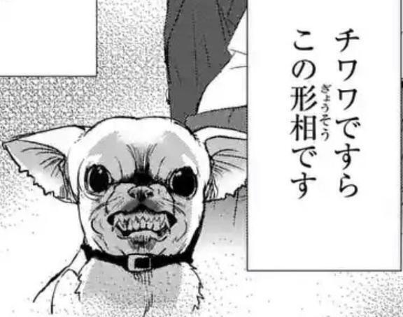 🦋お礼日記なしです😓