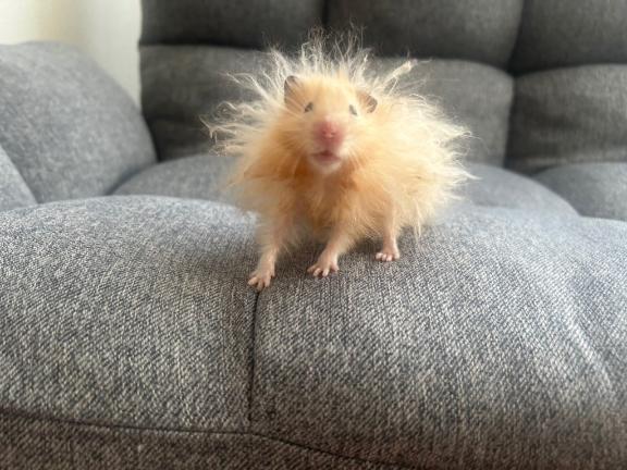 🦋本指名様DAY｜写メ日記｜あお【SS級の反則ビジュ】｜池袋 一般デリヘル STELLA TOKYO−ステラトウキョウ−