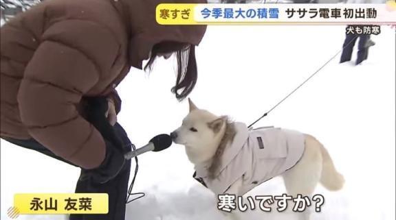 へんしんおくれる｜写メ日記｜あお【SS級の反則ビジュ】｜池袋 一般デリヘル STELLA TOKYO−ステラトウキョウ−