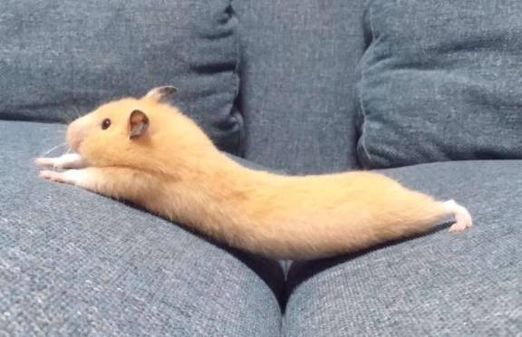 🦋502号室のお兄様へ