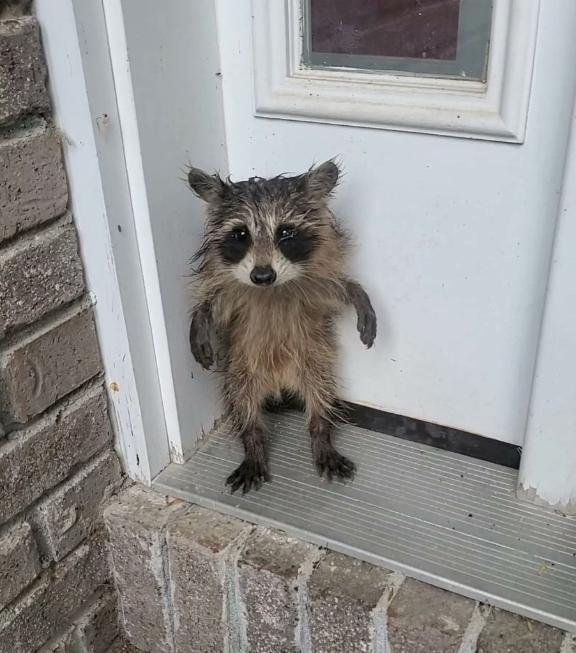 🦋301号室のお兄さんへ｜写メ日記｜あお【SS級の反則ビジュ】｜池袋 一般デリヘル STELLA TOKYO−ステラトウキョウ−