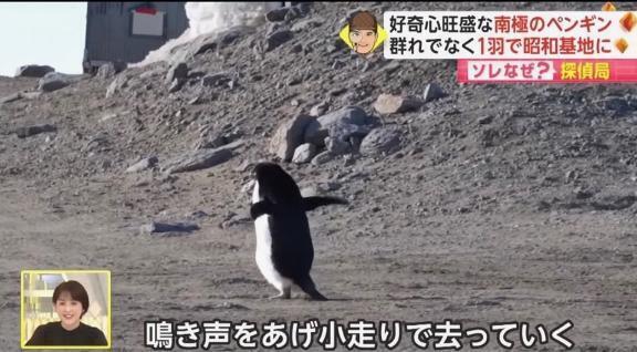 🦋wwwwwww｜写メ日記｜あお【SS級の反則ビジュ】｜池袋 一般デリヘル STELLA TOKYO−ステラトウキョウ−