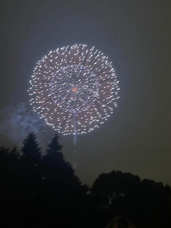 🦋心機一転｜写メ日記｜あお【SS級の反則ビジュ】｜池袋 一般デリヘル STELLA TOKYO−ステラトウキョウ−