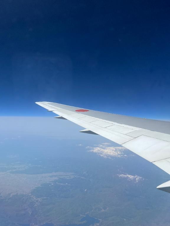 🐸｜写メ日記｜かりん【愛嬌満点クール美女】｜池袋 一般デリヘル STELLA TOKYO−ステラトウキョウ−