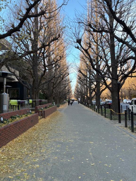 実質5分で完売..?｜写メ日記｜るうあ【奇跡のS級芸能人】｜池袋 一般デリヘル STELLA TOKYO−ステラトウキョウ−