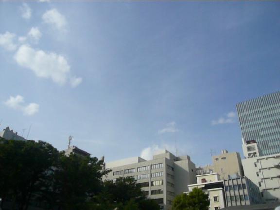 忘れちゃった…？｜写メ日記｜まお【天然Gカプ未開発】｜池袋 一般デリヘル STELLA TOKYO−ステラトウキョウ−