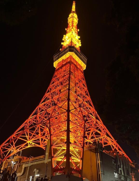 🗼🖤｜写メ日記｜わかな【白石〇衣激似美女】｜池袋 一般デリヘル STELLA TOKYO−ステラトウキョウ−
