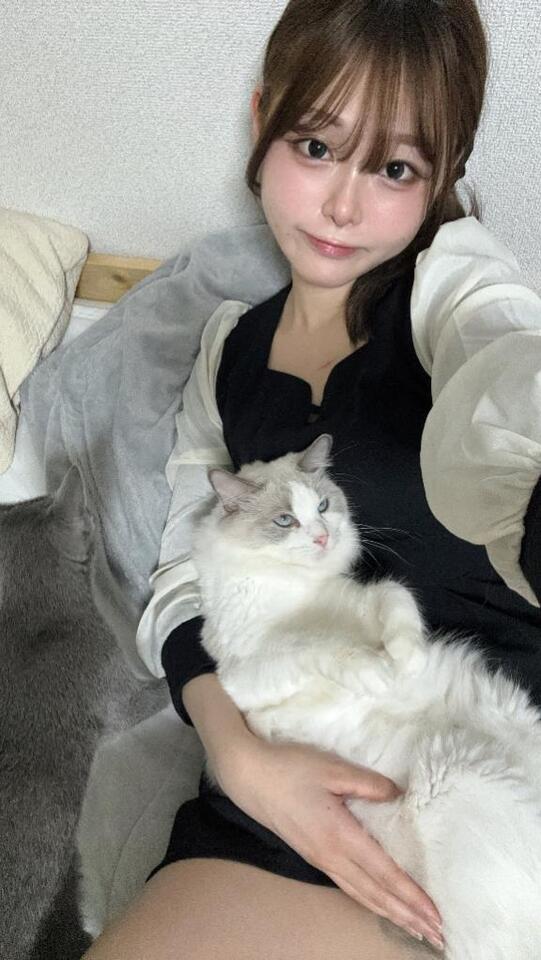ねこねこねこなの｜写メ日記｜こはる【S級ルックス小悪魔】｜池袋 一般デリヘル STELLA TOKYO−ステラトウキョウ−