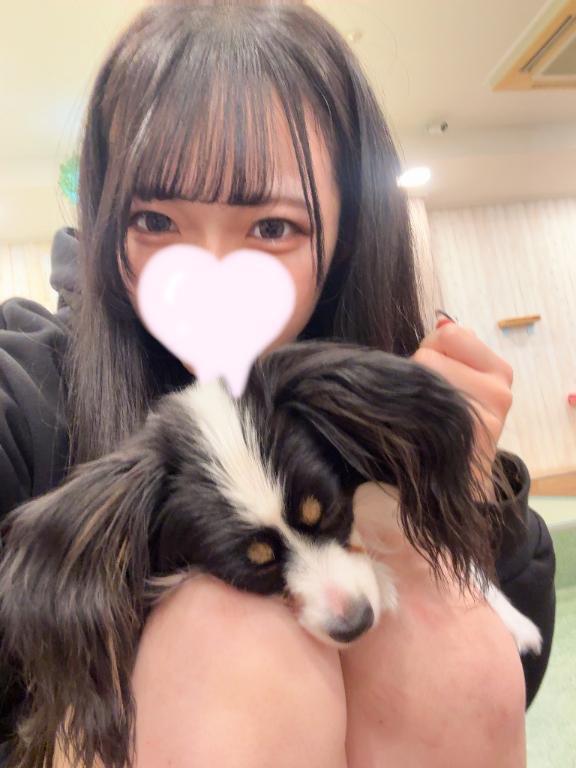 5時までいるよ💕｜写メ日記｜ねね【美顔、美脚、美少女】｜池袋 一般デリヘル STELLA TOKYO−ステラトウキョウ−