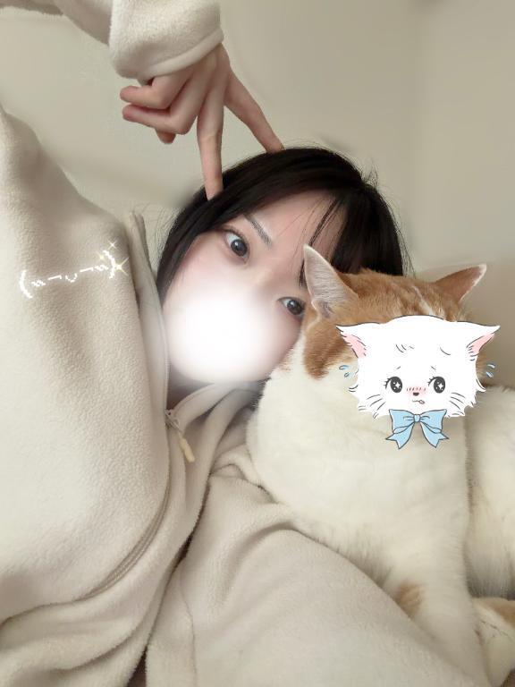 まったり🐈☁️｜写メ日記｜まゆ【小柄なのに破壊力抜群】｜池袋 一般デリヘル STELLA TOKYO−ステラトウキョウ−