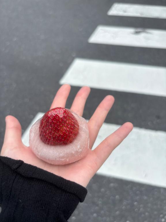 いちご大福のおさんぽ｜写メ日記｜うさぎ【天性のロリ極み】｜池袋 一般デリヘル STELLA TOKYO−ステラトウキョウ−
