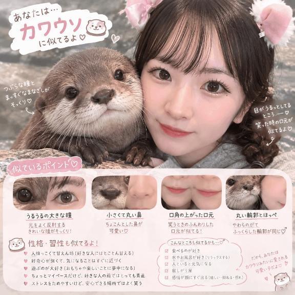 【似てる動物🤍】｜写メ日記｜にあ【現役塾講師降臨】｜池袋 一般デリヘル STELLA TOKYO−ステラトウキョウ−