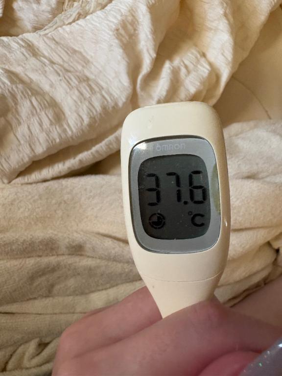 【お休み】【次の出勤のお知らせ】｜写メ日記｜きほ【極上癒しのたぬき顔】｜池袋 一般デリヘル STELLA TOKYO−ステラトウキョウ−