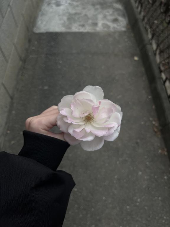 時間をかけて｜写メ日記｜らん【〇〇国宝級発情美神】｜池袋 一般デリヘル STELLA TOKYO−ステラトウキョウ−