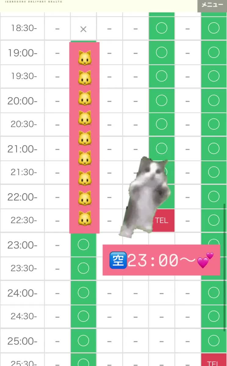 ❤️本日こちら❤️