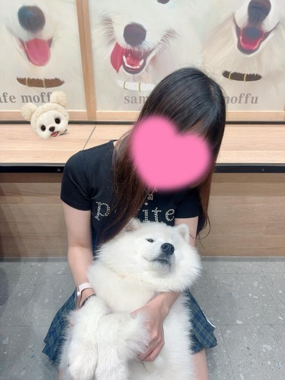 最近はサモエドに癒された🥺🩷｜写メ日記｜れいあ【S級史上最高の逸材】｜池袋 一般デリヘル STELLA TOKYO−ステラトウキョウ−