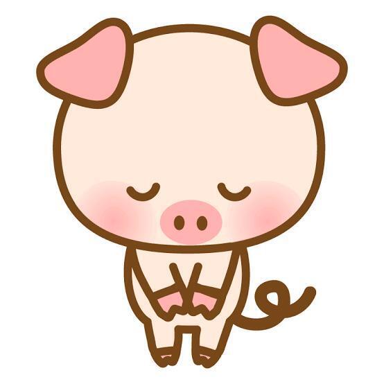 ごめんなさい😢｜写メ日記｜めいか【透明感抜群！癒し系】｜池袋 一般デリヘル STELLA TOKYO−ステラトウキョウ−