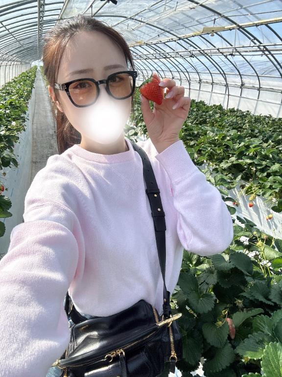 いちご❣️とった❣️｜写メ日記｜りりか【過去一のポテンシャル】｜池袋 一般デリヘル STELLA TOKYO−ステラトウキョウ−
