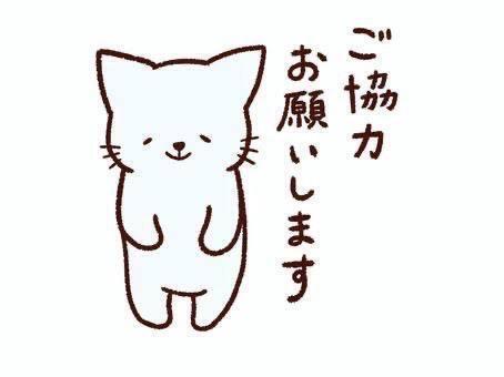 優しくしてね