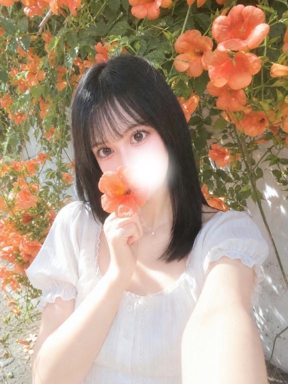 本能♡｜写メ日記｜ゆりか【黒髪えちえち極美女】｜池袋 一般デリヘル STELLA TOKYO−ステラトウキョウ−