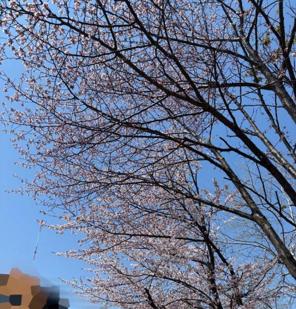 いーっぱい