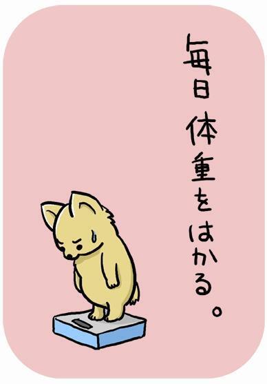 [お題]from:columbooさん