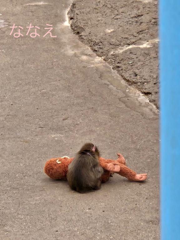 今日もありがとう