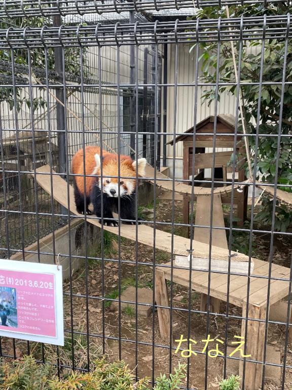 出勤しました｜写メ日記｜ななえ｜大塚・巣鴨 人妻デリヘル ～優しい若妻倶楽部～ Mrs.女神