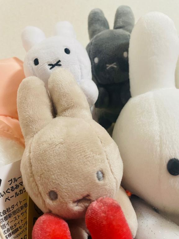 ごめんなさい｜写メ日記｜りか｜大塚・巣鴨 人妻デリヘル ～優しい若妻倶楽部～ Mrs.女神