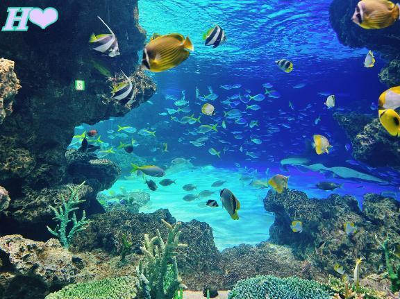 お礼と来週は。｜写メ日記｜はるみ｜大塚・巣鴨 人妻デリヘル ～優しい若妻倶楽部～ Mrs.女神