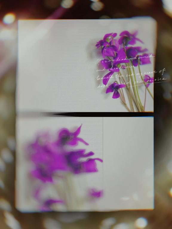 明日の出勤について｜写メ日記｜つぐみ｜大塚・巣鴨 人妻デリヘル ～優しい若妻倶楽部～ Mrs.女神