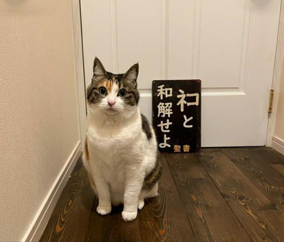 ３月から｜写メ日記｜なつみ｜大塚・巣鴨 人妻デリヘル ～優しい若妻倶楽部～ Mrs.女神