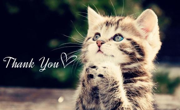 本日のお礼です｜写メ日記｜ちい｜大塚・巣鴨 人妻デリヘル ～優しい若妻倶楽部～ Mrs.女神