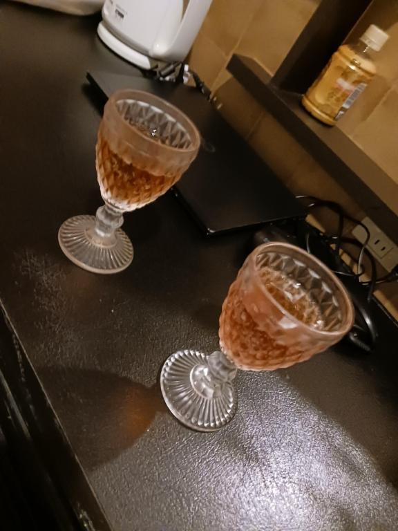 シャンパンには夢があるパート2｜写メ日記｜まりえ｜大塚・巣鴨 人妻デリヘル ～優しい若妻倶楽部～ Mrs.女神