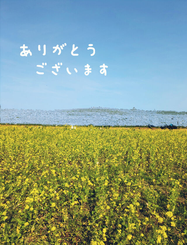 ６月｜写メ日記｜なごみ｜品川・五反田 人妻デリヘル 奥鉄オクテツ東京店（デリヘル市場）