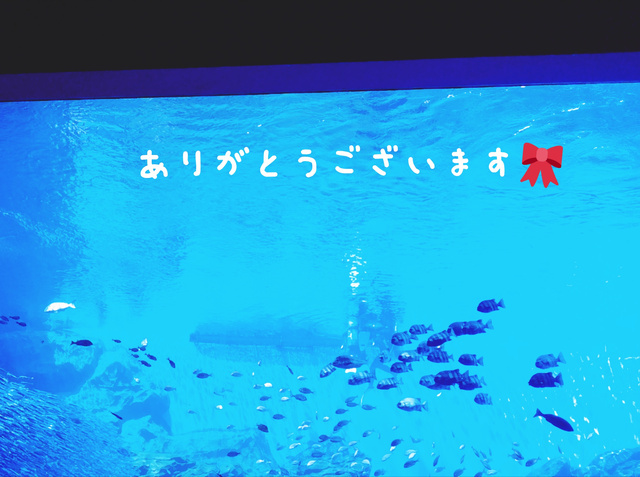 昨日のお礼①