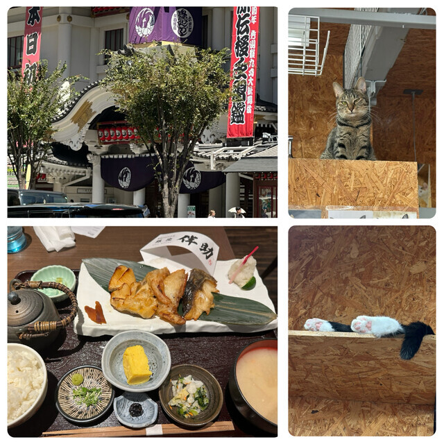 銀ブラ♪♪｜写メ日記｜さゆき｜品川・五反田 人妻デリヘル 奥鉄オクテツ東京店（デリヘル市場）