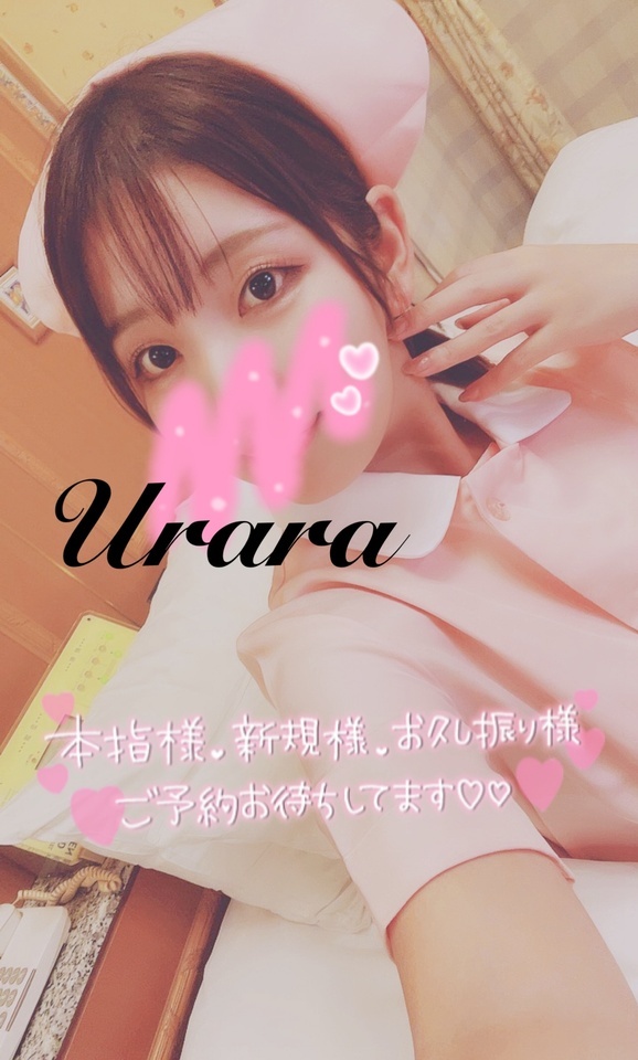 今週の予定