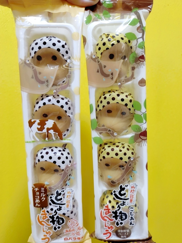 行った気分｜写メ日記｜ぼたん｜品川・五反田 人妻デリヘル 奥鉄オクテツ東京店（デリヘル市場）