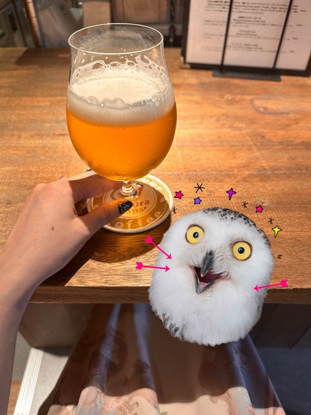 乾杯✨｜写メ日記｜おとか｜品川・五反田 人妻デリヘル 奥鉄オクテツ東京店（デリヘル市場）