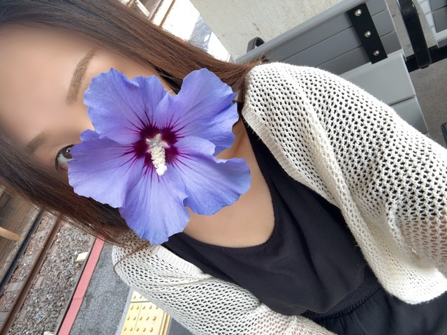 晴れました☘️｜写メ日記｜あきほ｜品川・五反田 人妻デリヘル 奥鉄オクテツ東京店（デリヘル市場）
