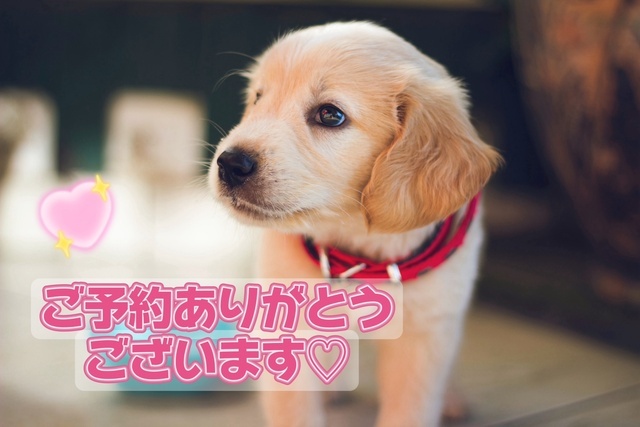 再会のご予約ありがとうございます♡｜写メ日記｜さおり｜品川・五反田 人妻デリヘル 奥鉄オクテツ東京店（デリヘル市場）