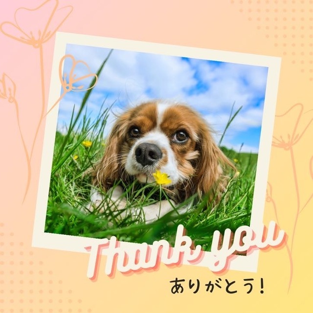 6/6のお礼です♡｜写メ日記｜さおり｜品川・五反田 人妻デリヘル 奥鉄オクテツ東京店（デリヘル市場）