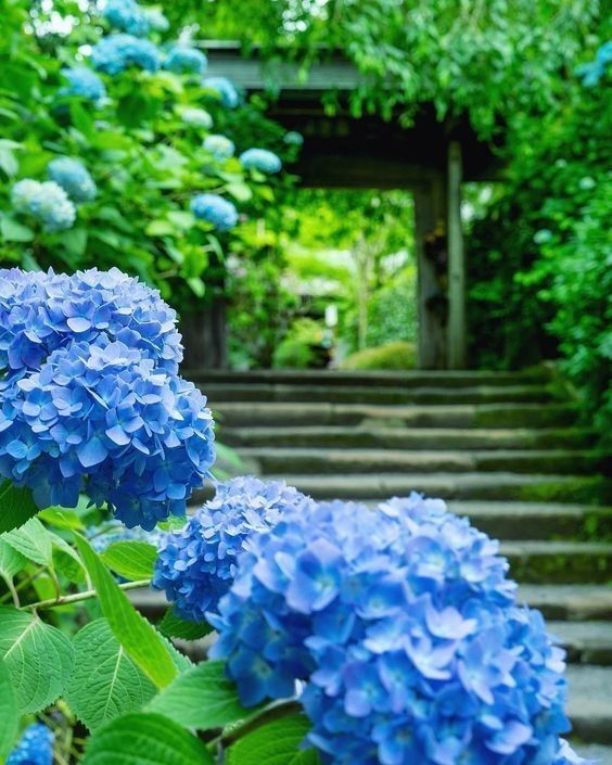 昨日のお礼♡｜写メ日記｜もも｜品川・五反田 人妻デリヘル 奥鉄オクテツ東京店（デリヘル市場）