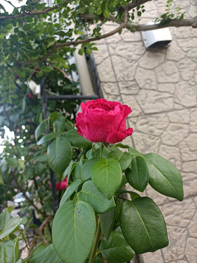 8月