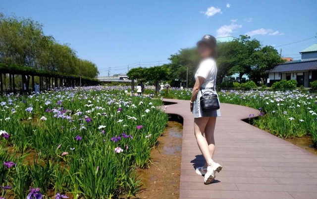 〇〇まつり