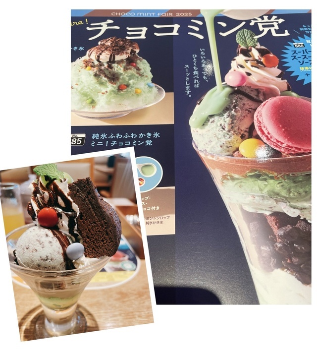 チョコミン党｜写メ日記｜みさと｜品川・五反田 人妻デリヘル 奥鉄オクテツ東京店（デリヘル市場）